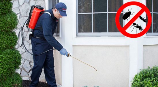 Simav Böcek İlaçlama böcek ilaçlama ve haşere kontrolü — ilaclama-tr.com